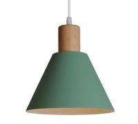 Suspension de Style Nordique avec culot E27, Lustre à Une tête, Abat-Jour en Fer créatif, idéal pour Une véranda, Un café ou Un Couloir