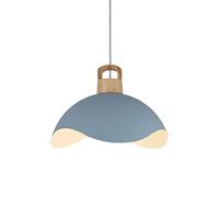 Suspension décorative en métal en Forme de Fleur, Douille E27, luminaire Suspendu à Une tête pour Restaurant, Bar ou Villa.