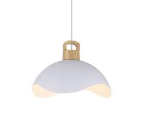 Suspension décorative en métal en Forme de pétale de Fleur, Douille E27, à Une Seule tête, idéale pour Restaurant, Bar ou Villa.