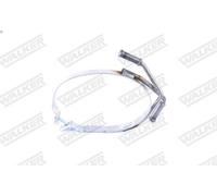 Suspension, échappement WALKER 80598 pour PARTNER Monospace (5_, G_) 2 2000-