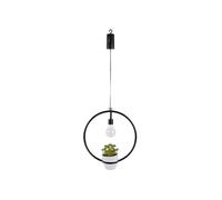 Plafonnier The Home Deco Factory - Suspension LED décorative avec plante Garden - H. 35 cm - Noir - Garden
