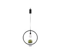 Plafonnier The Home Deco Factory - Suspension LED décorative avec plante Garden - H. 35 cm - Noir - Garden