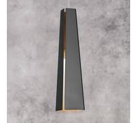 Faro Barcelona Lampe suspension PLUMA 64172 noir et or