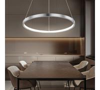 Lampe suspension lampes LED anneau argent suspension ronde suspension salon moderne, en métal en nickel opale mat, 1x LED 19W 900Lm blanc chaud, DxH 38,5x120 cm