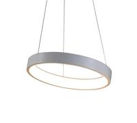 Suspension LED Lunaop 2086 Ø50cm H x Ø 6.5x50cm