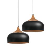 Suspension LED Moderne à Piles avec télécommande, luminaire de Plafond métallique Rechargeable, Lampe Suspendue sans Fil à intensité Variable, Installation Facile, Solution d'éclairage élégante pour