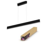 Philips Hue White and Color ambiance Suspension Ensis
