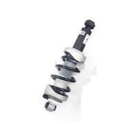 suspension pneumatique avec 1X Amortisseur Avant Gauche Et Droit Assy Pour R8 09-15 420412019AJ 420412019Q 420412020AJ /020Q 420512019S sac à ressort pneumatique(Avant droit)