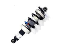 suspension pneumatique avec 1X Amortisseur Avant Gauche Et Droit Assy Pour R8 09-15 420412019AJ 420412019Q 420412020AJ /020Q 420512019S sac à ressort pneumatique(Avant gauche)