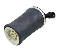 Suspension Pneumatique Compatible Avec Ford Pour Crown Pour Victoria 4.6L V8 1997 1998 1999 2000 2001 2002 Suspension Pneumatique Arrière Pour Ressort De Suspension 3U2Z5580AA