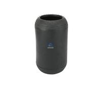 Suspension Pneumatique Du Coffre DT PIÈCES RECHANGE convient pour