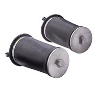 Suspension Pneumatique for Range Rover P38 Arrière RKB101460 Gen-3 (95-02) pair