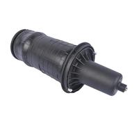 Suspension Pneumatique Suspension Pneumatique Avant 1 Pièce Pour Land Pour Rover Pour Range Pour II P38A REB101740 Amortisseur à gaz