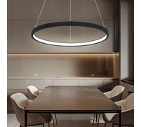 Suspension Ring Suspension ronde LED lampes Salon Suspension moderne, en métal noir mat opale, 1x LED 19W 800Lm blanc chaud, DxH 38,5x120 cm