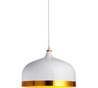 Suspension Tout Aluminium à tête Unique, Lustre décoratif Semi-Circulaire, éclairage créatif Nordique E27, Fil de Suspension réglable, idéal pour Un Bar ou Un Restaurant