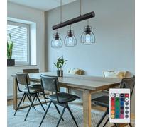Suspensions Lampe Salle à Manger Holzleuchte Grille RGB LED Télécommande Dimmbar