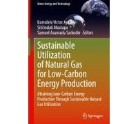 Sustainable Utilization Of Natural Gas For Low-Carbon Energy Production