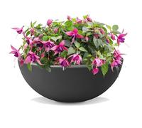 Sustania Mini étang - Pot de fleurs - 1 pièce - Diamètre : 40 cm - Hauteur : 16 cm - Bol décoratif avec fuchsia - Attire tous les regards - Pour la maison et le jardin