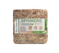 Sustrato Musgo Sphaigne de Chile Chiloe'Moss para Orquídeas RED (500g)