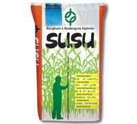 SUSU Sorghum x sorgho du Soudan hybride 15 kg sorgho du Soudan, culture dérobée, Biomasse, Biogaz