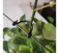 SUSUB Lot de 200 Attaches pour Kiwi et Vigne - Attaches de Support pour Plantes de Jardin - Crochets de Fixation - Fourche Fixe - pour entraînement de Croissance