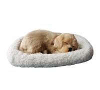 Suxdlan Peluche Respirante dorée, Chien endormi