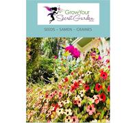 Suzanne aux yeux noirs en mélange - Thunbergia alata - grimpante