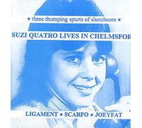 Suzi Quatro Lives in Chelmsford [7" Vinyl]