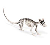 Suzile Squelette d'animaux d'Halloween avec articulations articulées en plastique pour décoration de fête d'Halloween, accessoire photo, décoration de cimetière, scène effrayante d'intérieur et
