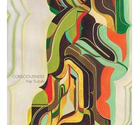 Suzuki Kay - Consciousness [Import]