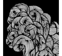 Svalbard - One Day All This Will End [Import]