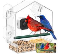 Svanur Mangeoire à oiseaux avec caméra, identification IA et capture automatique pour la visualisation, ventouses puissantes, mangeoires pour oiseaux sauvages pour l'extérieur