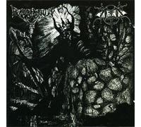 Svartsyn - Arckanum & Svartsyn