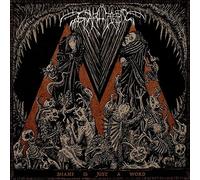 Svarttjern – Shame Is Just A Word – Vinyle