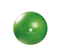 Sveltus ballon de fitness 65 cm vert en boîte