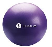 Sveltus - Ballons Pédagogiques - 25 cm