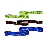 Sveltus Lot de bandes élastiques avec affiche d'exercices (français non garanti), bande de résistance indéchirable, lavable, pour cross training et musculation., Combi