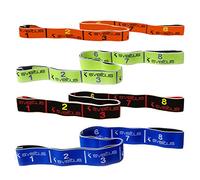 Sveltus Lot de bandes élastiques avec affiche d'exercices (français non garanti), bande de résistance indéchirable, lavable, pour cross training et musculation., Orange/Jaune/Noir/Bleu