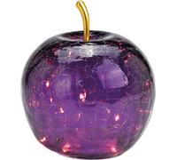 SVJ Guirlande de Noël Appel met 20 LED - 16x16x17 cm - Verre - lilas