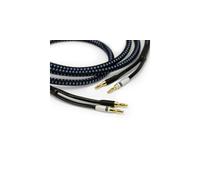 SVS soundpath ultra speaker banane 12,1m