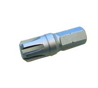 SW-Stahl 04425K10 Embout de visseuse