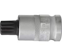 SW-Stahl 05306SB Insert multi-dents, entraînement 12,5 mm (1/2 pouce), M14 x 53 mm