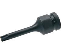 SW-Stahl S5480-50 Insert de force T50 en S5480