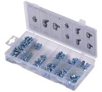 SW STAHL S8065 Assortiment de Graisseurs, 110 Pièces, M6 M8 M10