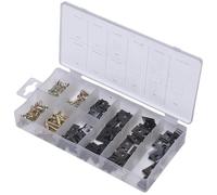 SW Stahl S8067 Assortiment de Vis et Écrous de Carrosserie - 170 Pièces