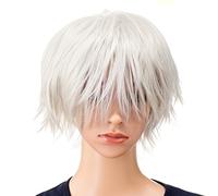 SWACC Perruque courte en dentelle unie pour homme et femme (argenté)