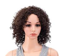SWACC Perruques courtes et bouclées pour femme de 30,5 cm en fibre synthétique résistante à la chaleur avec bonnet de perruque (marron foncé, 4#)