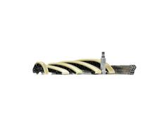 SWAG Kit de chaîne de distribution pour Sprinter Viano Vito 906 3,0 l 6420500211