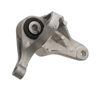SWAG Roulements, moteur 50929870 Compatible avec: FORD C-MAX, FOCUS C-MAX, FOCUS II, FOCUS II Cabriolet, FOCUS II Kasten/Kombi, FOCUS II Stufenheck, FOCUS II Turnier, KUGA I, KUGA I VAN, VOLVO C30