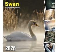 Swan 2026 Calendar: Elegant waterfowl captured in serene lake settings